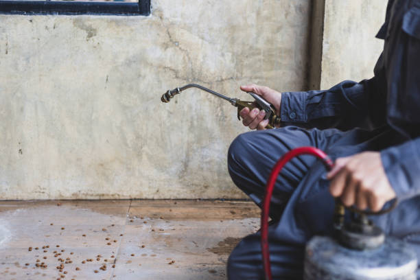 Best Mosquito Control Services  in Sandston, VA